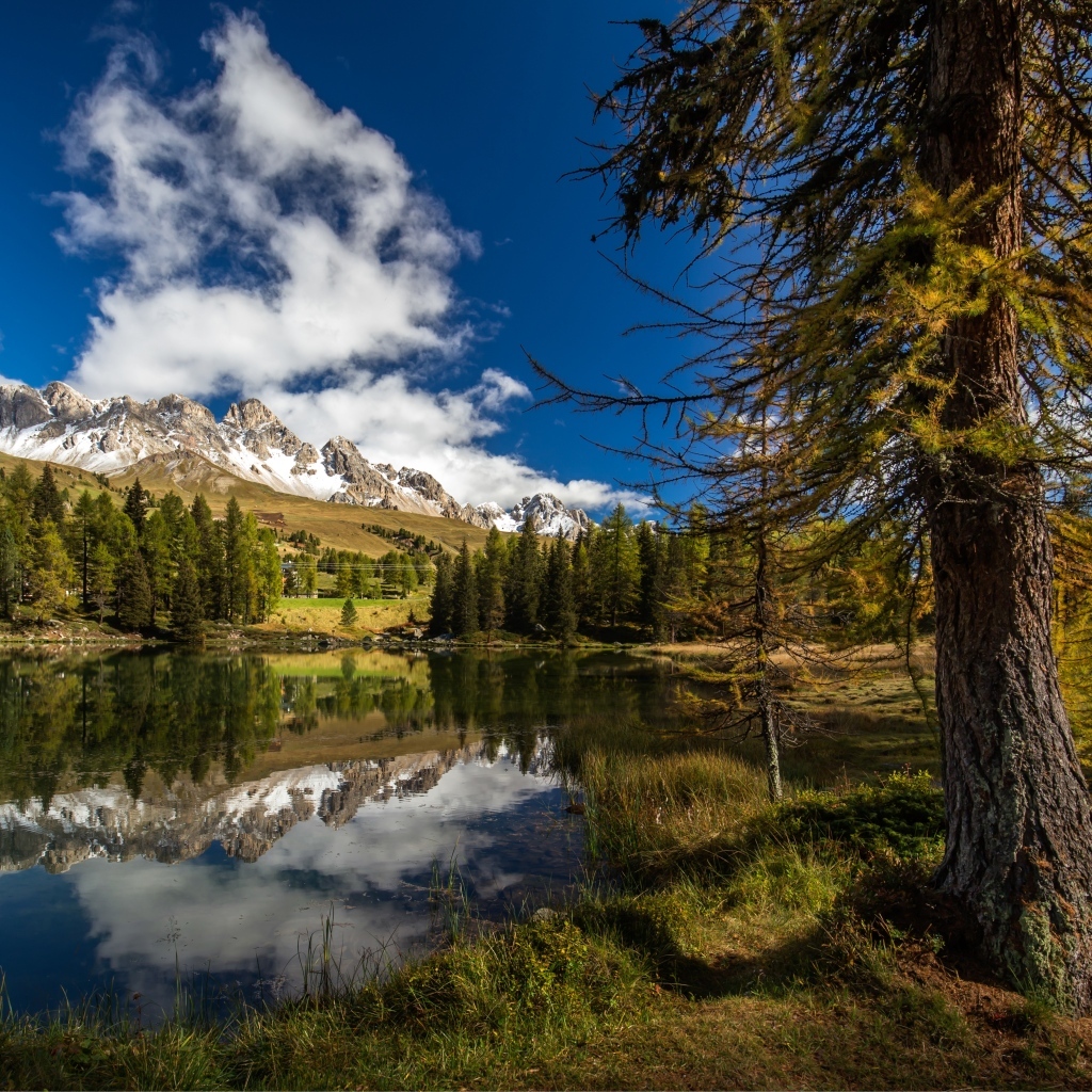 Озеро в горах с высокими елями под голубым небом