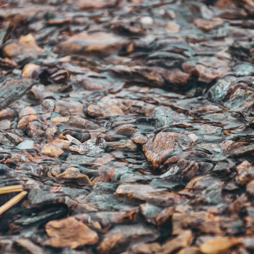 Мелкая река с камнями