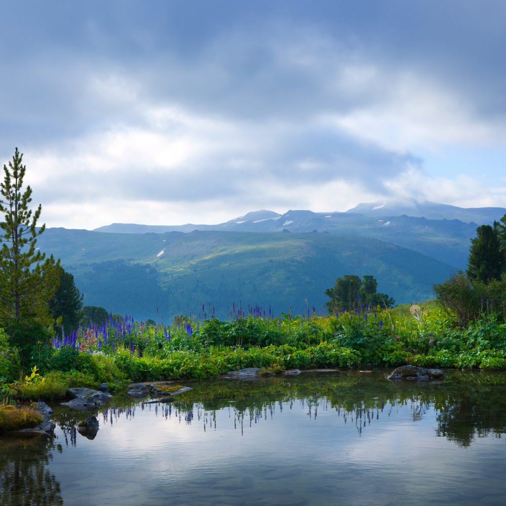 Вид на тихое озеро с покрытыми зеленой травой берегами на фоне гор