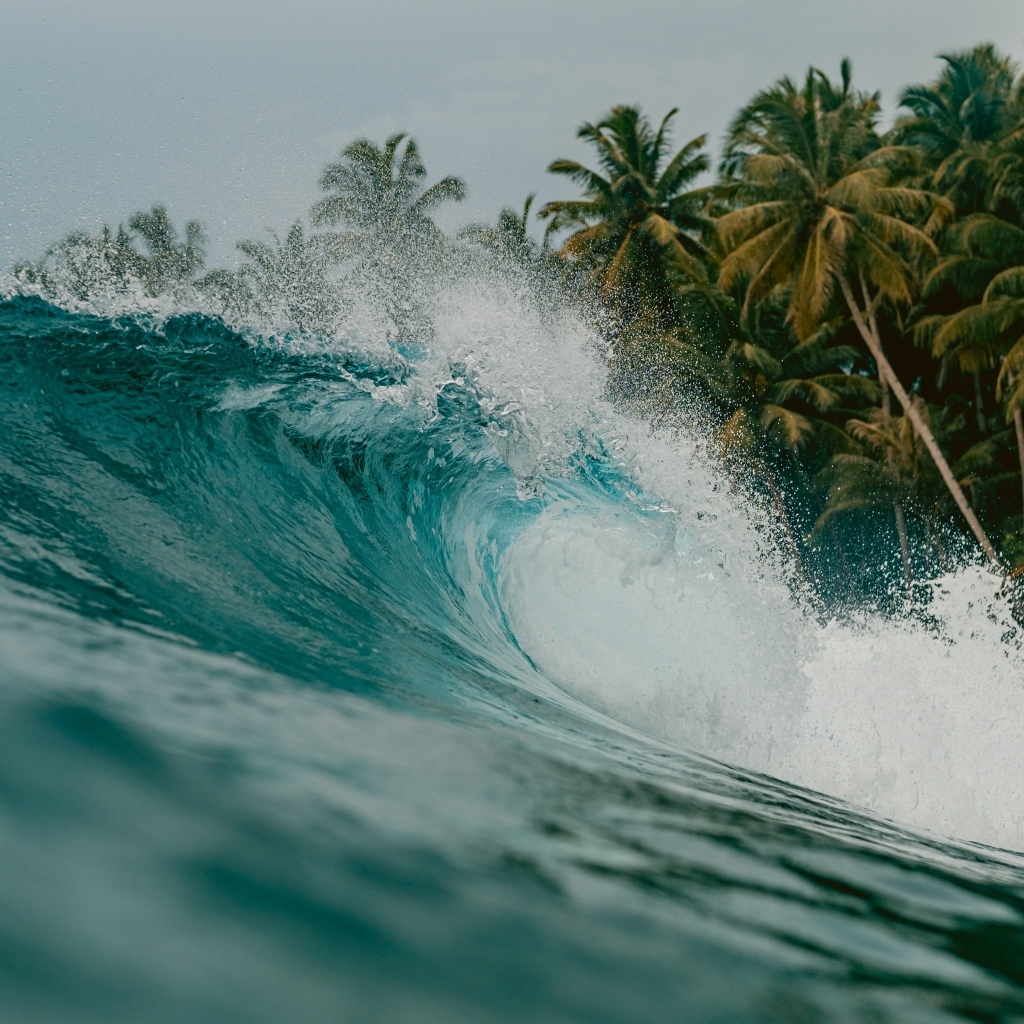 Высокая волна с пальмами на берегу моря