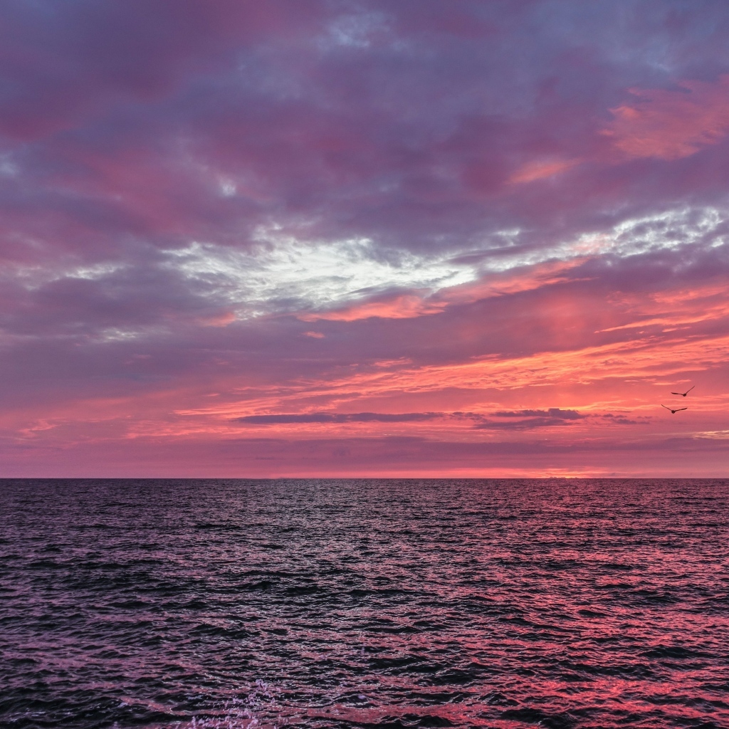 Красивый розовый закат в небе над морем