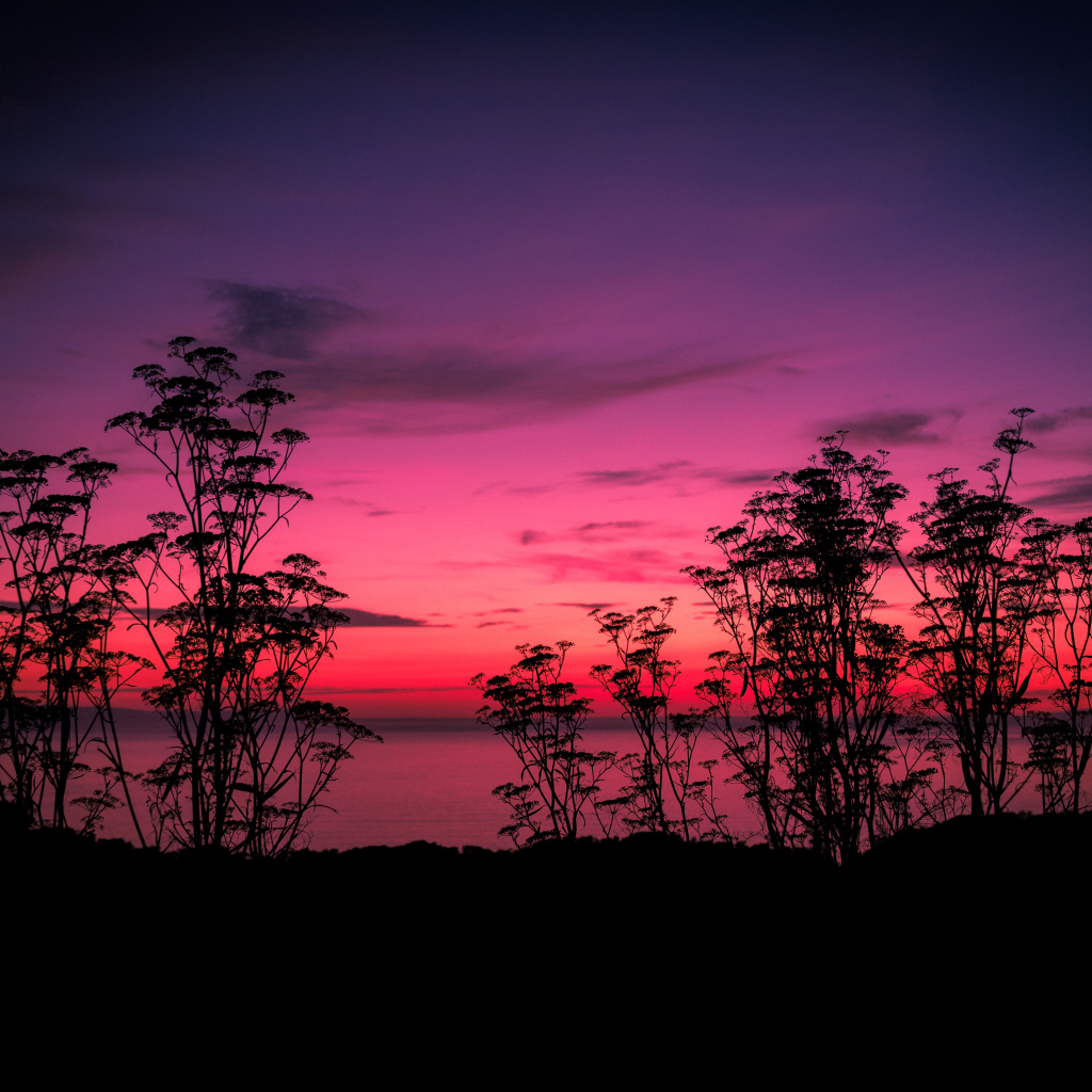 Розовый закат у тихого озера