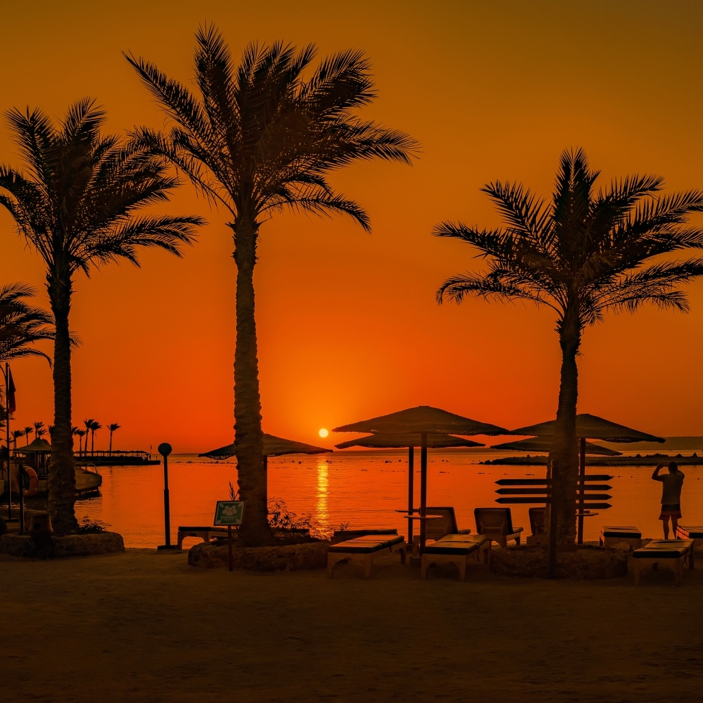 Закат солнца над морем на фоне пальм