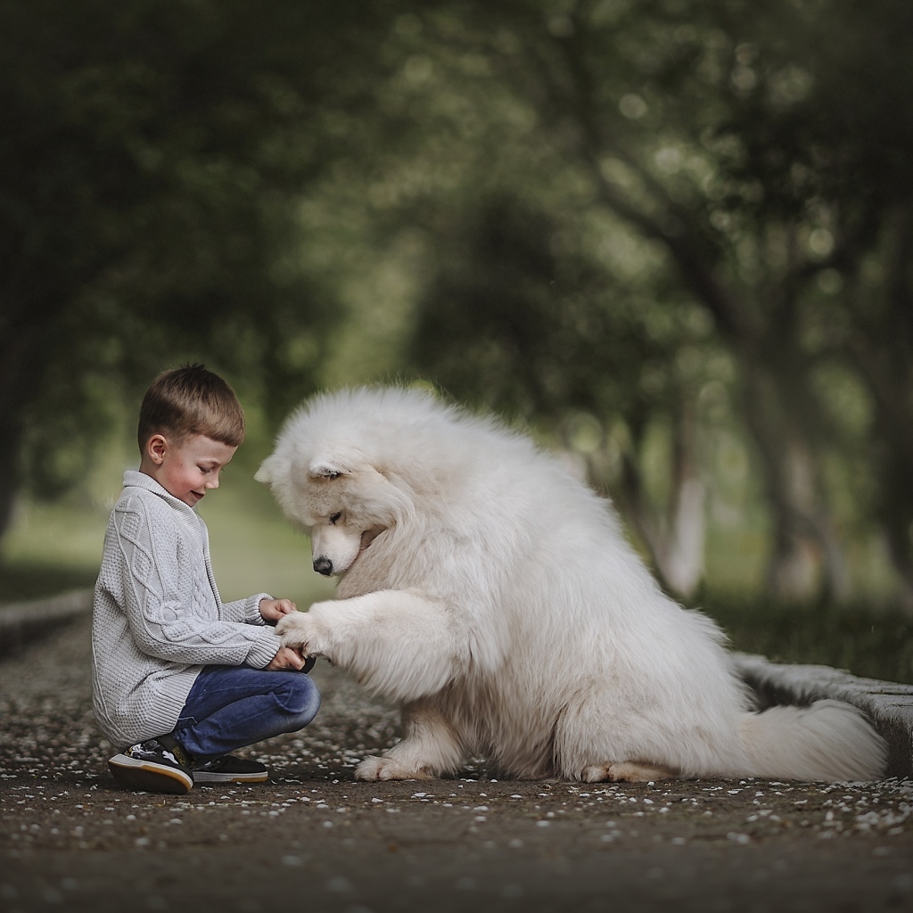 Мальчик на дороге с большим белым псом