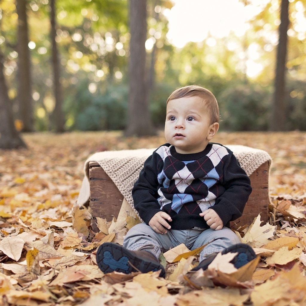 Мальчик сидит на опавшей осенней листве