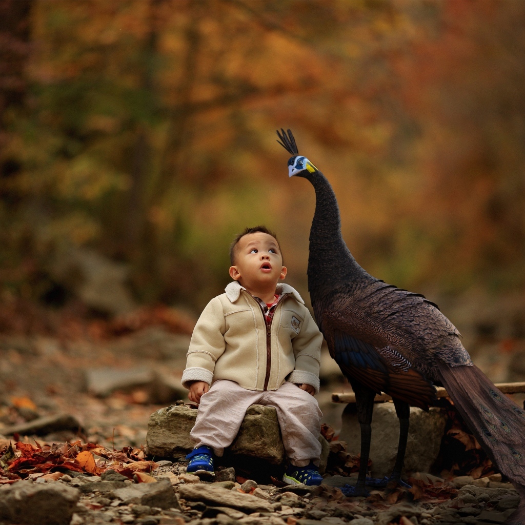 Мальчик с павлином в парке