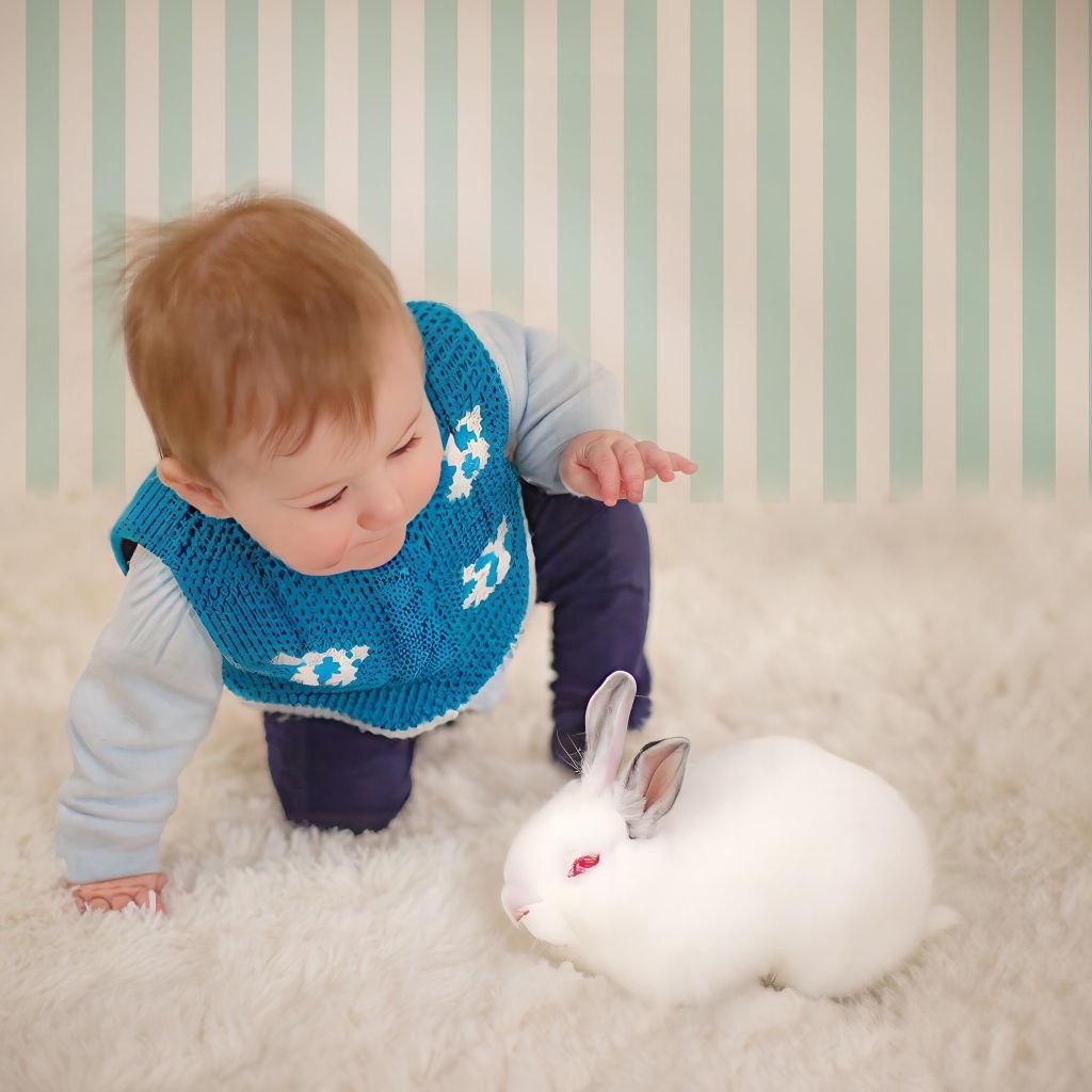 Смешной маленький мальчик с белым кроликом