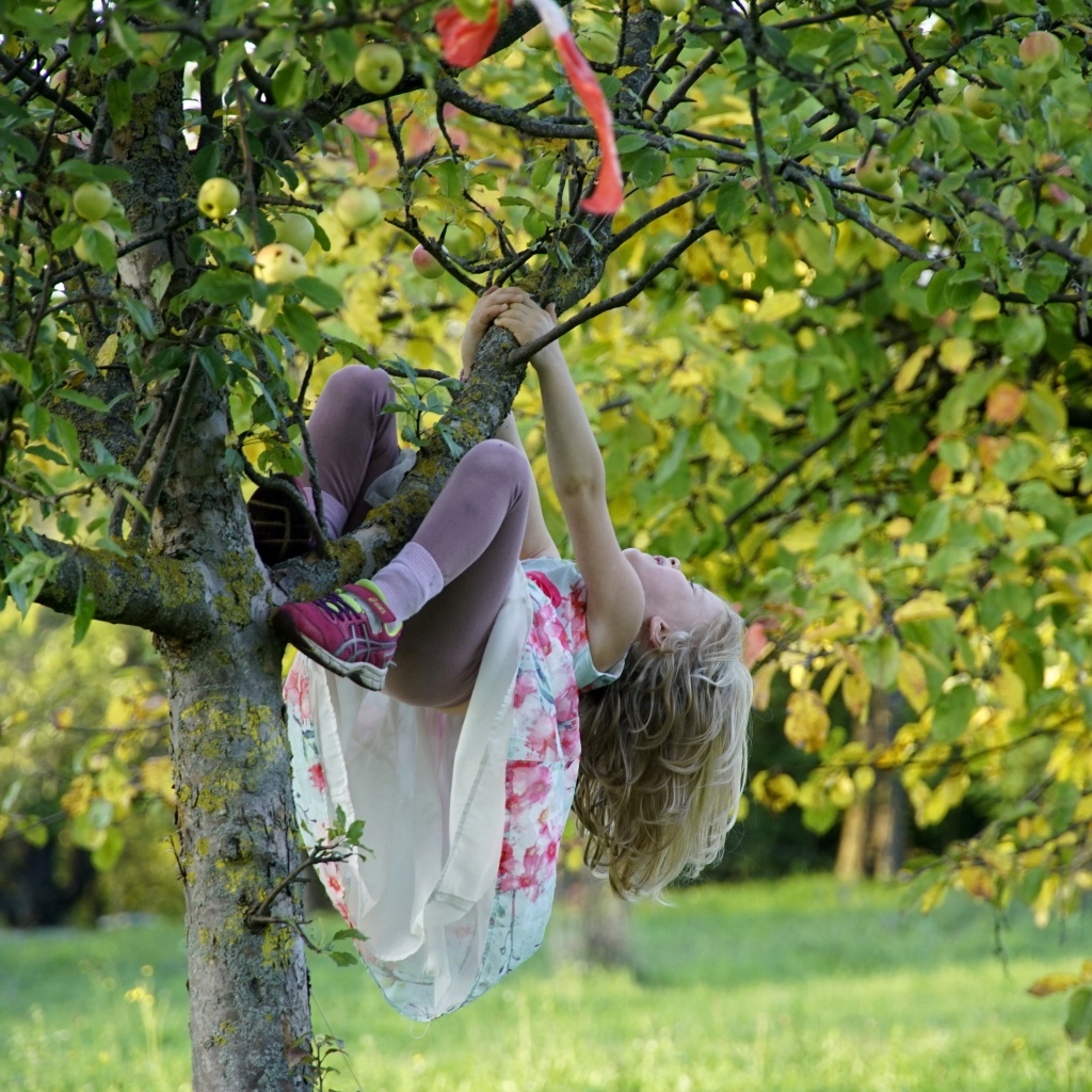 Девочка висит на дереве с яблоками