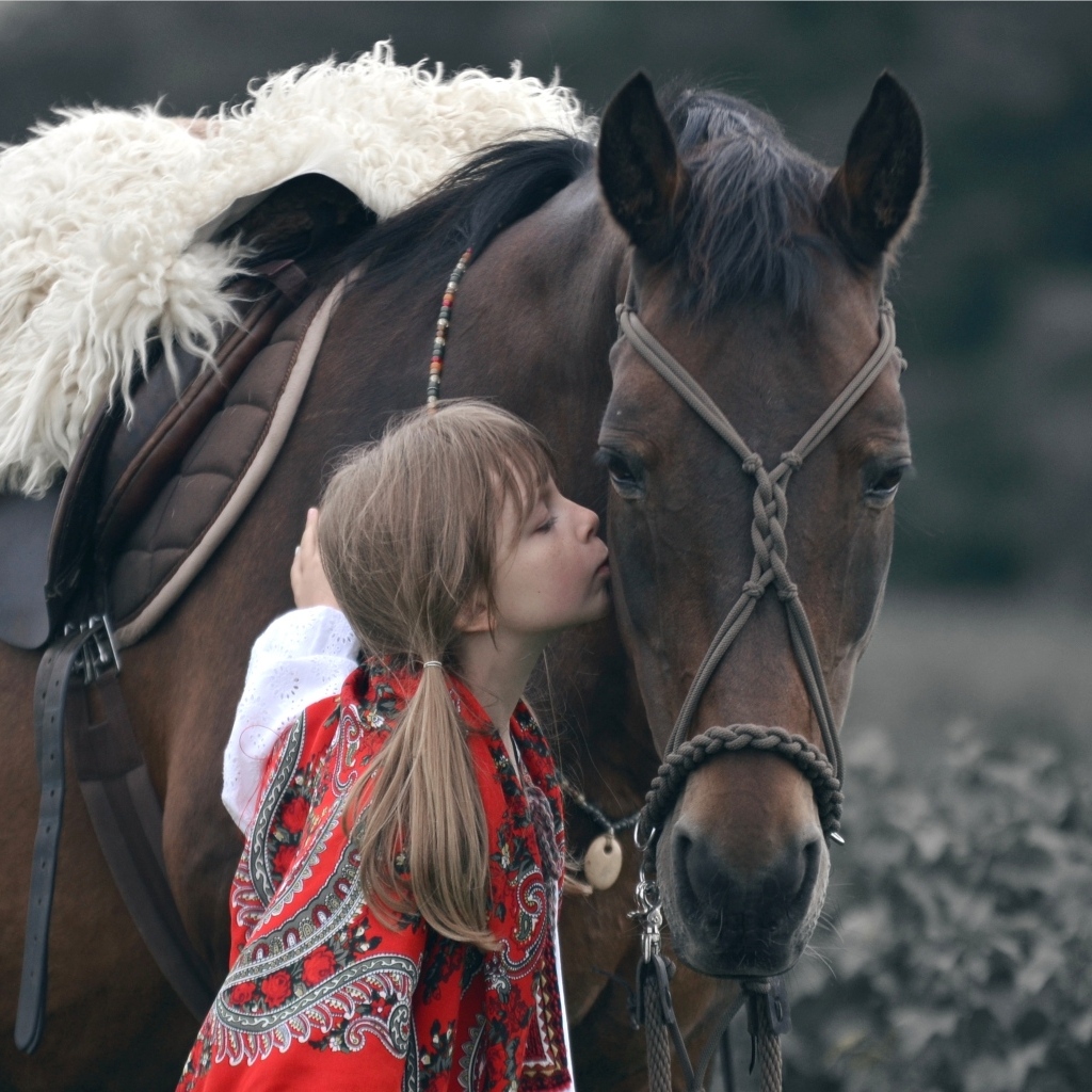 Девочка с большим коричневым конем