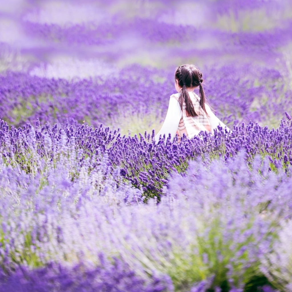 Маленькая девочка гуляет по лавандовому полю