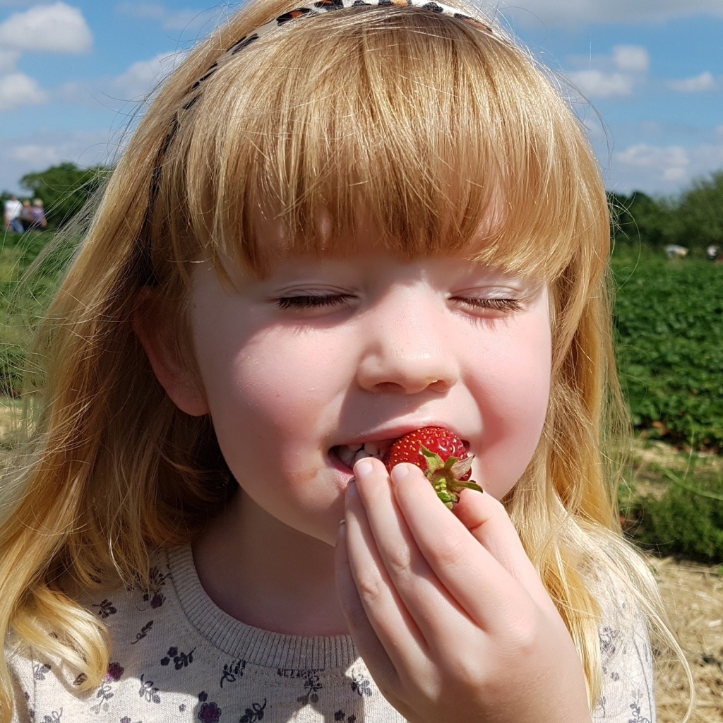 Маленькая девочка с закрытыми глазами пробует клубнику