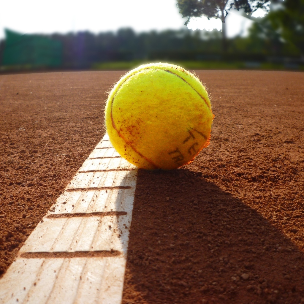 Желтый теннисный мяч лежит на поле