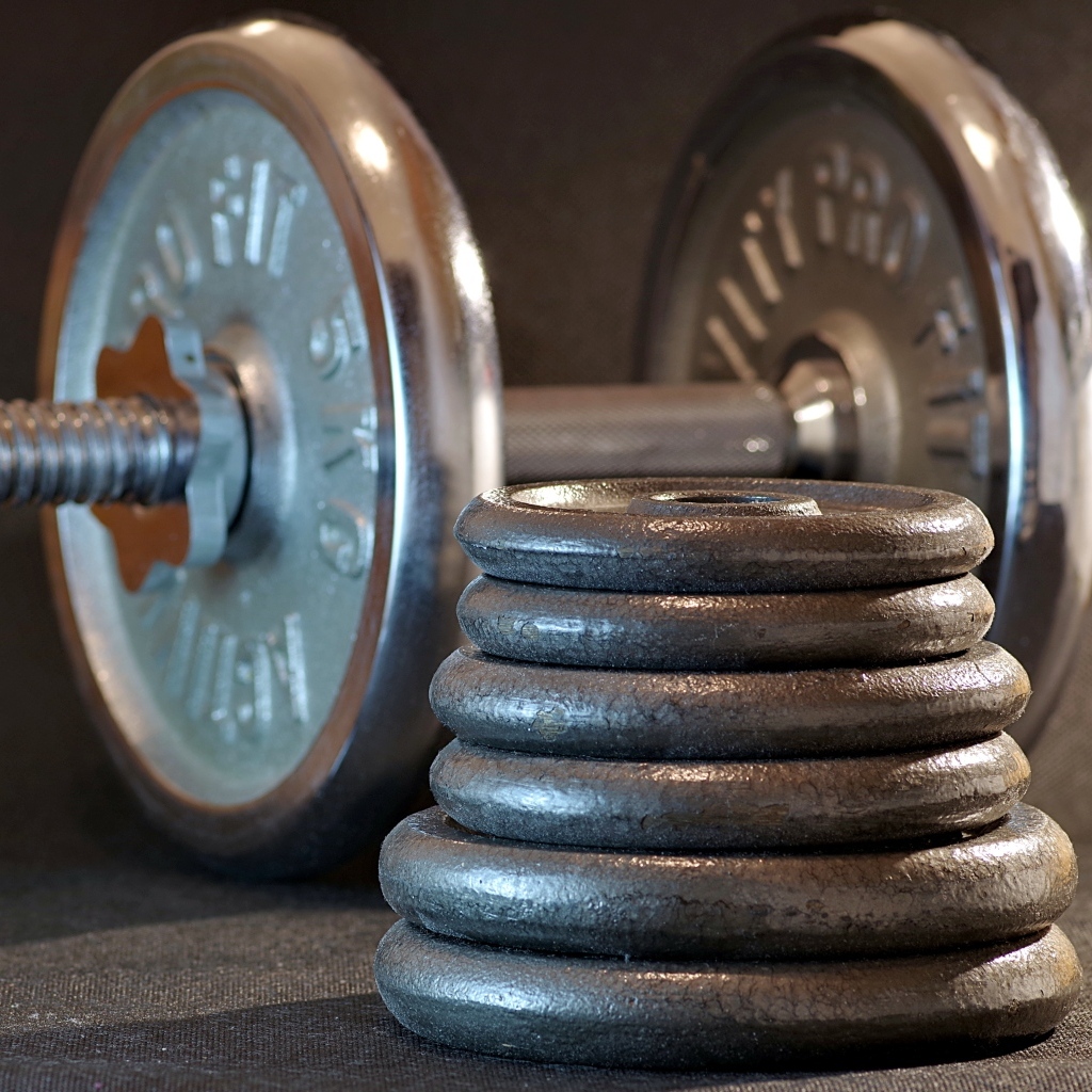 Гантеля с тяжелыми дисками