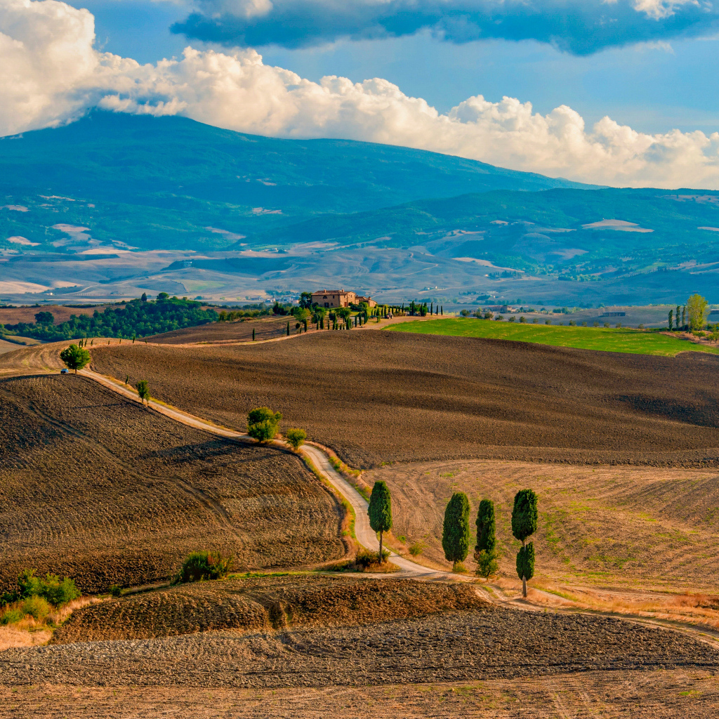 Красивый вид на поля Тосканы, Италия