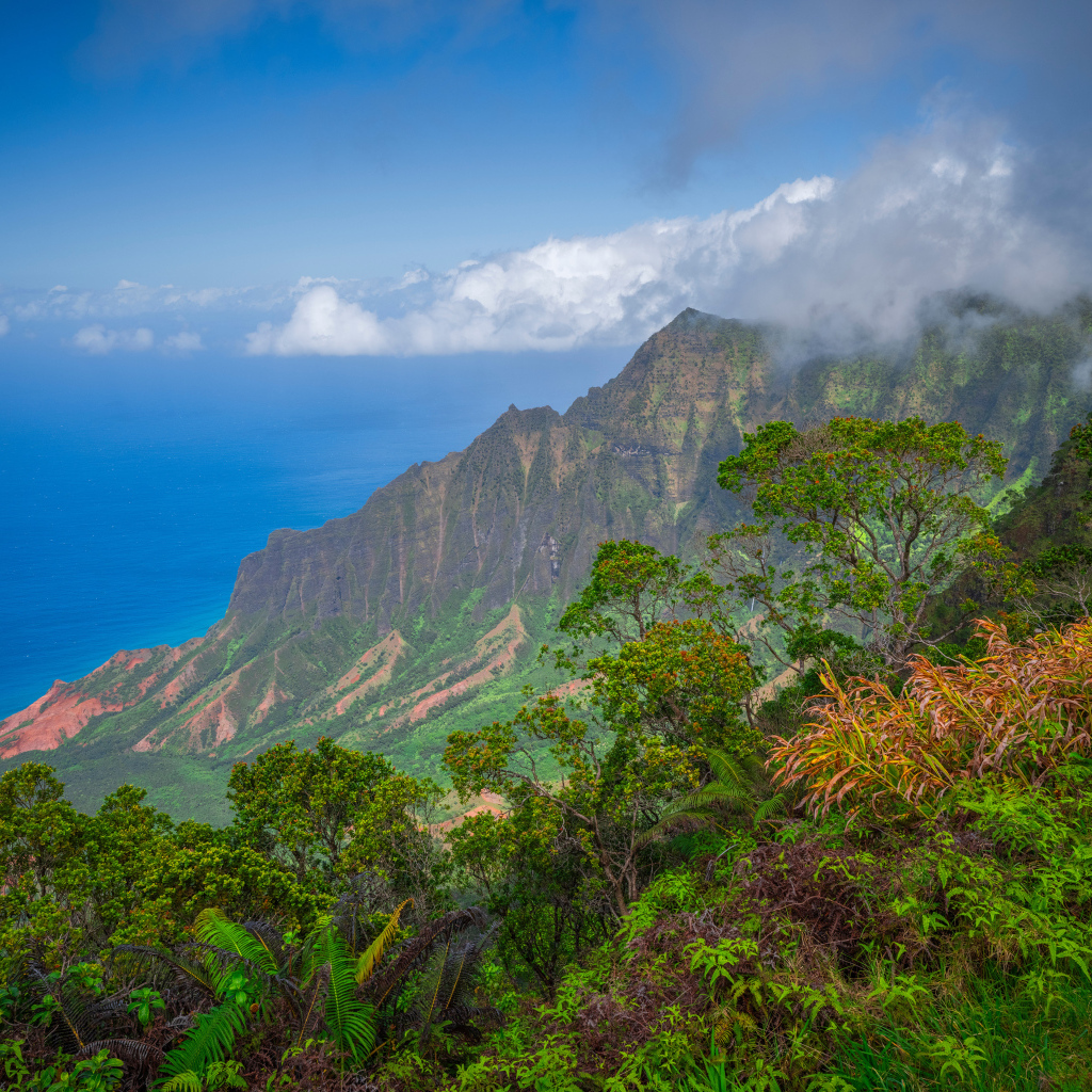 Покрытые зеленью горы на Гавайских островах, США