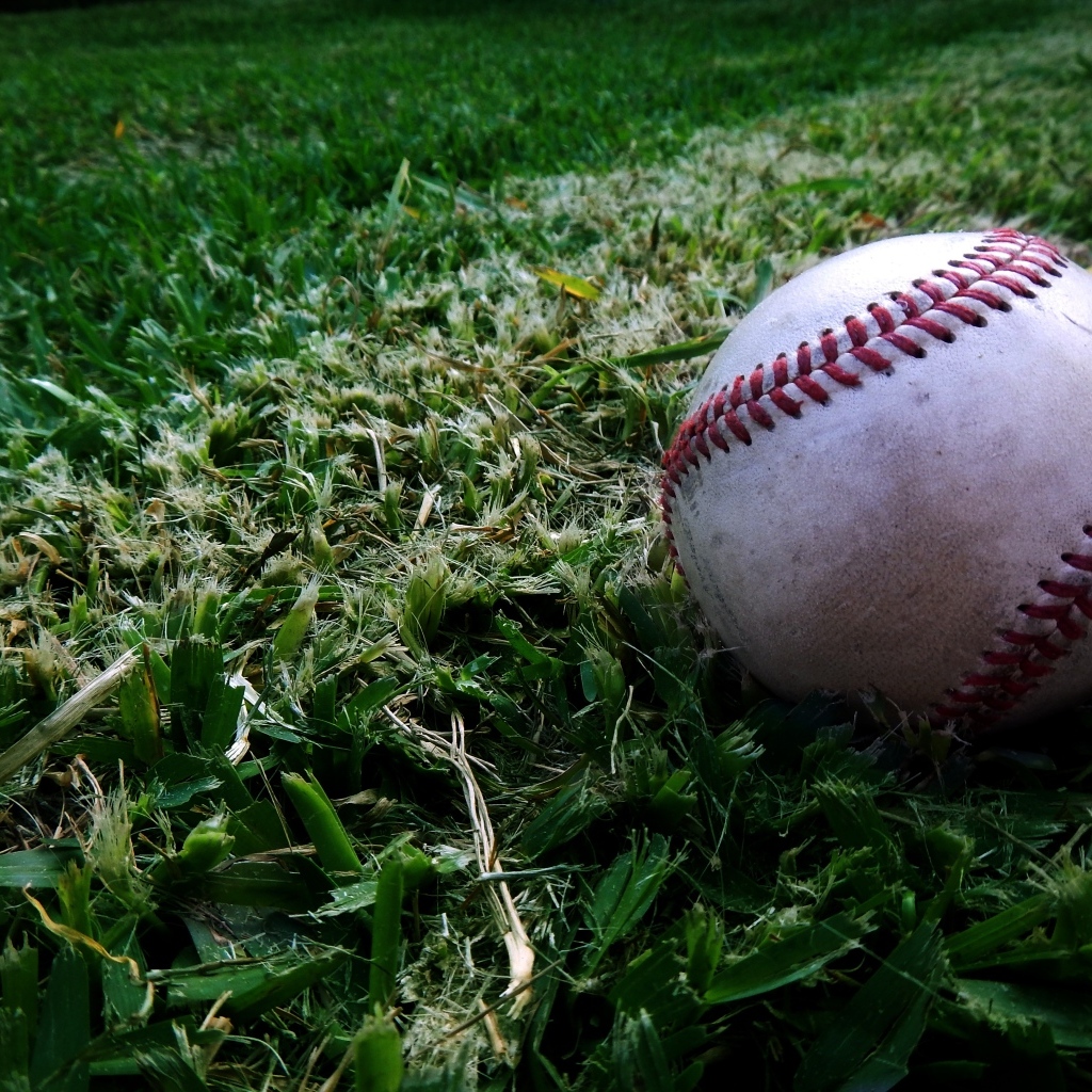 Мяч для бейсбола на траве 
