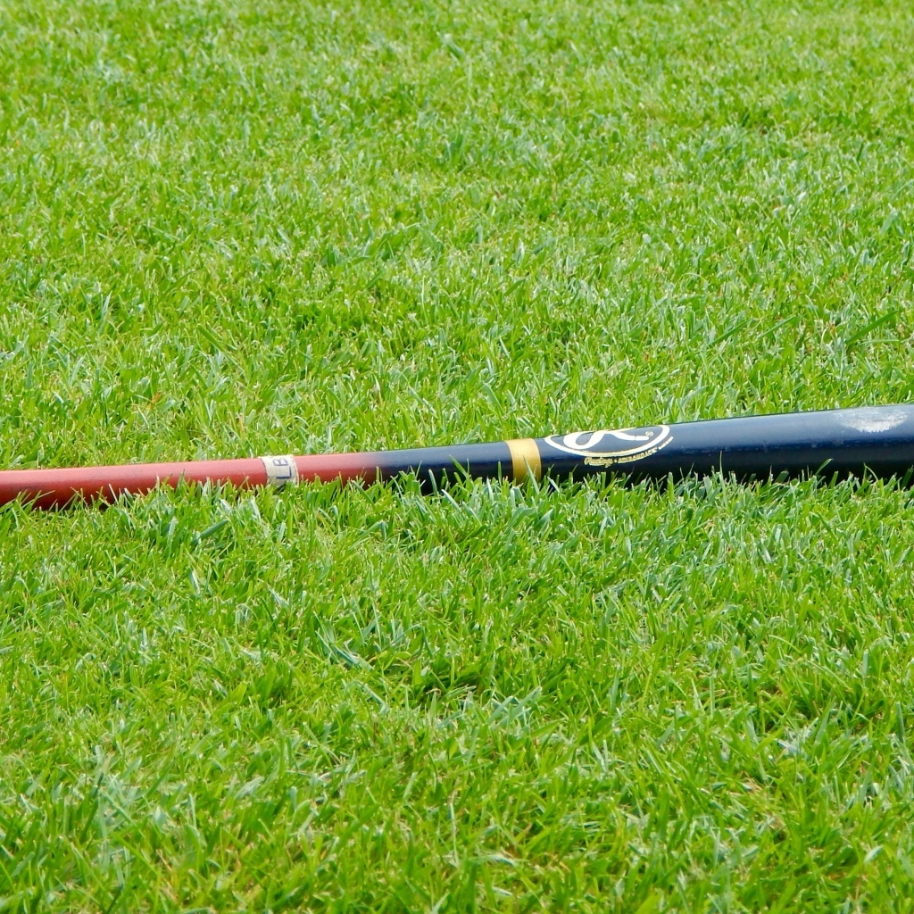 Бейсбольная бита на зеленой траве 