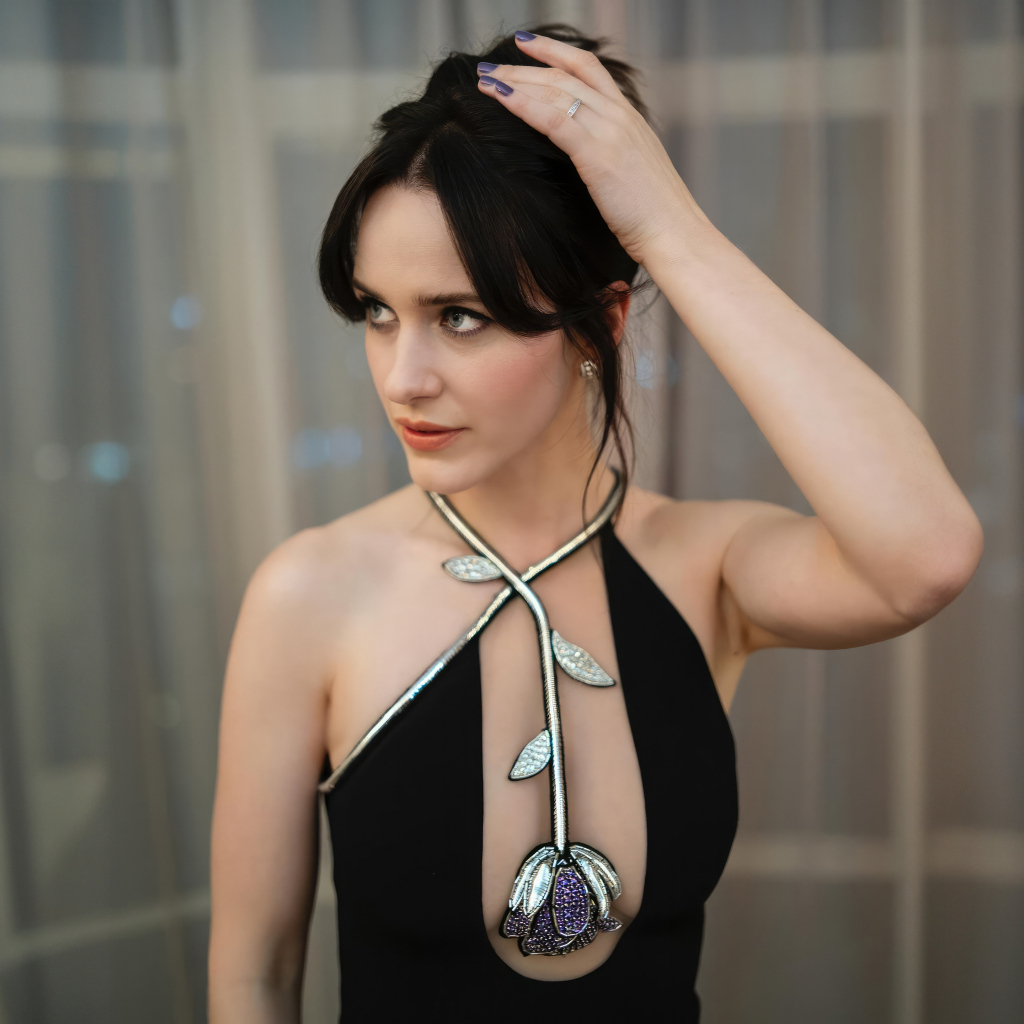 Красивое платье актрисы Рэйчел Броснахэн