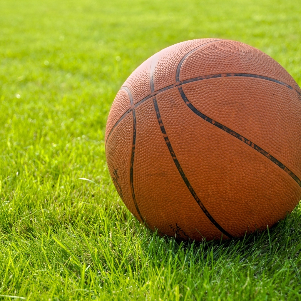 Коричневый кожаный баскетбольный мяч на зеленой траве