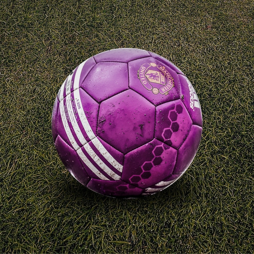 Фиолетовый футбольный мяч на траве