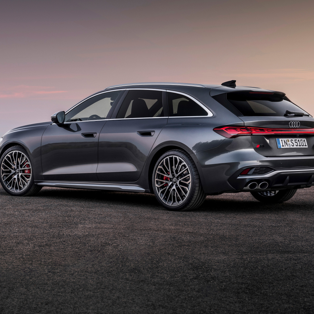 Вид сбоку на серый автомобиль Audi S5 Avant TFSI quattro 2024 года