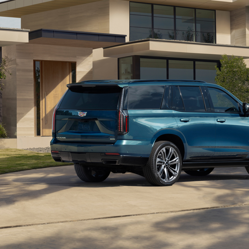 Синий внедорожник Cadillac Escalade 2025 года вид сзади