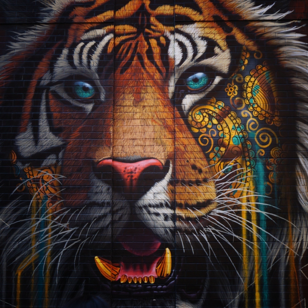 Нарисованное граффити тигра на стене
