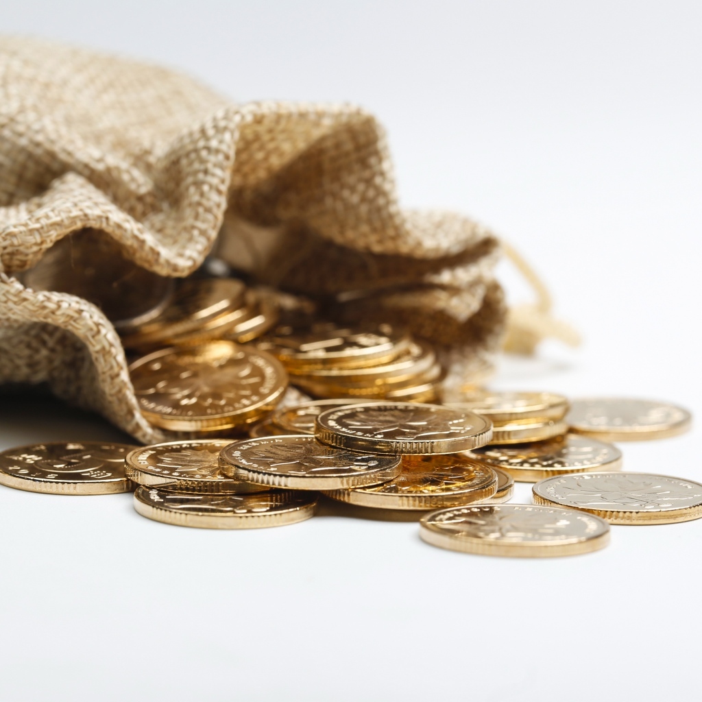 Золотые монеты в мешке на белом фоне