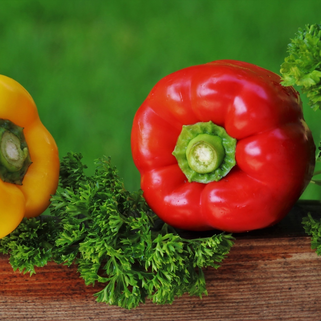 Болгарский перец с зеленью петрушки