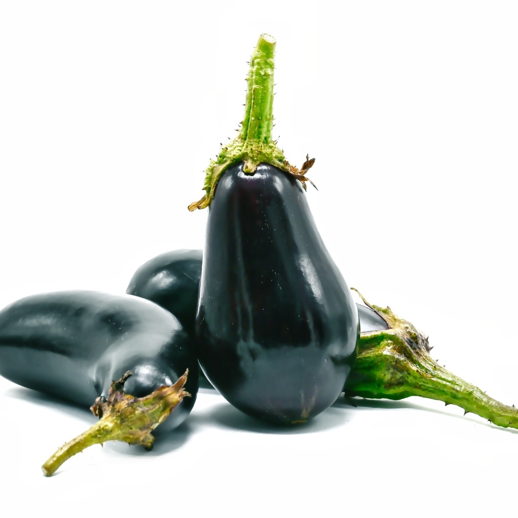 Синие баклажаны на белом фоне