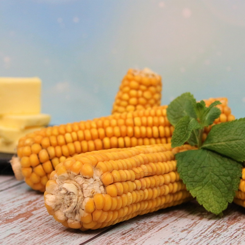 Початки кукурузы на столе с маслом