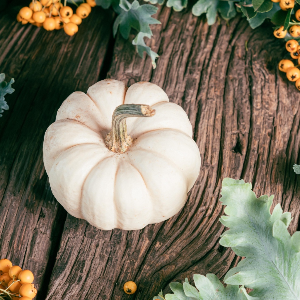 Тыква на столе с ягодами рябины