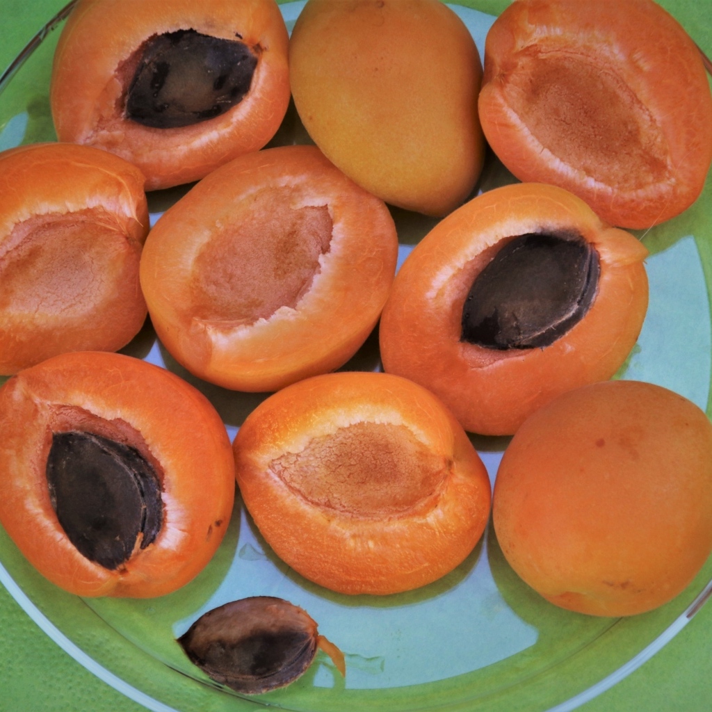 Абрикосы половинками на тарелке