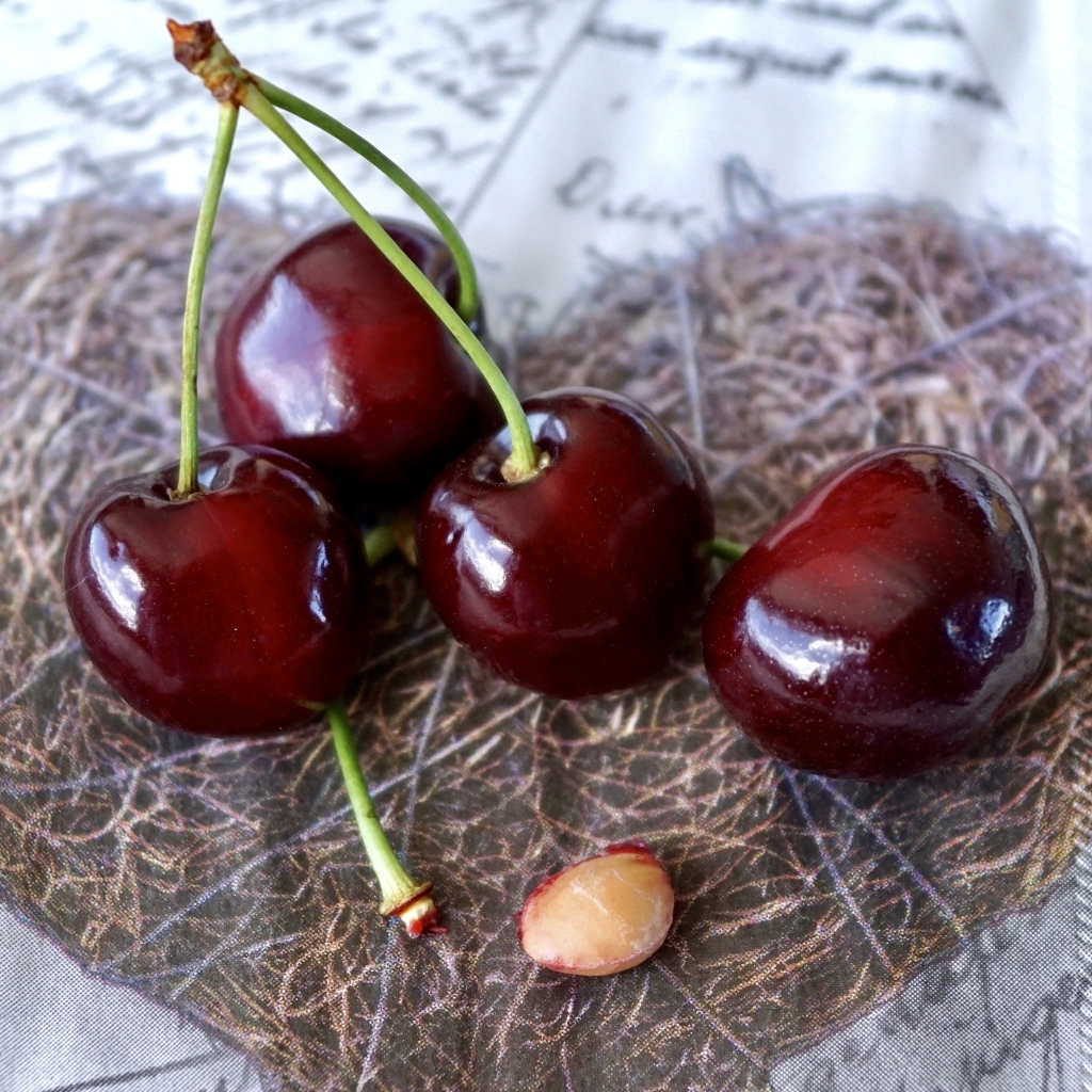 Красивые спелые красные черешни на столе