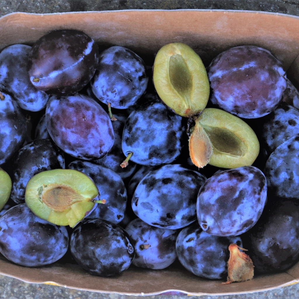 Синие сливы в коробке 