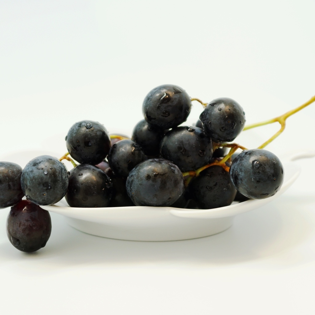 Гроздь синего винограда в тарелке на белом фоне