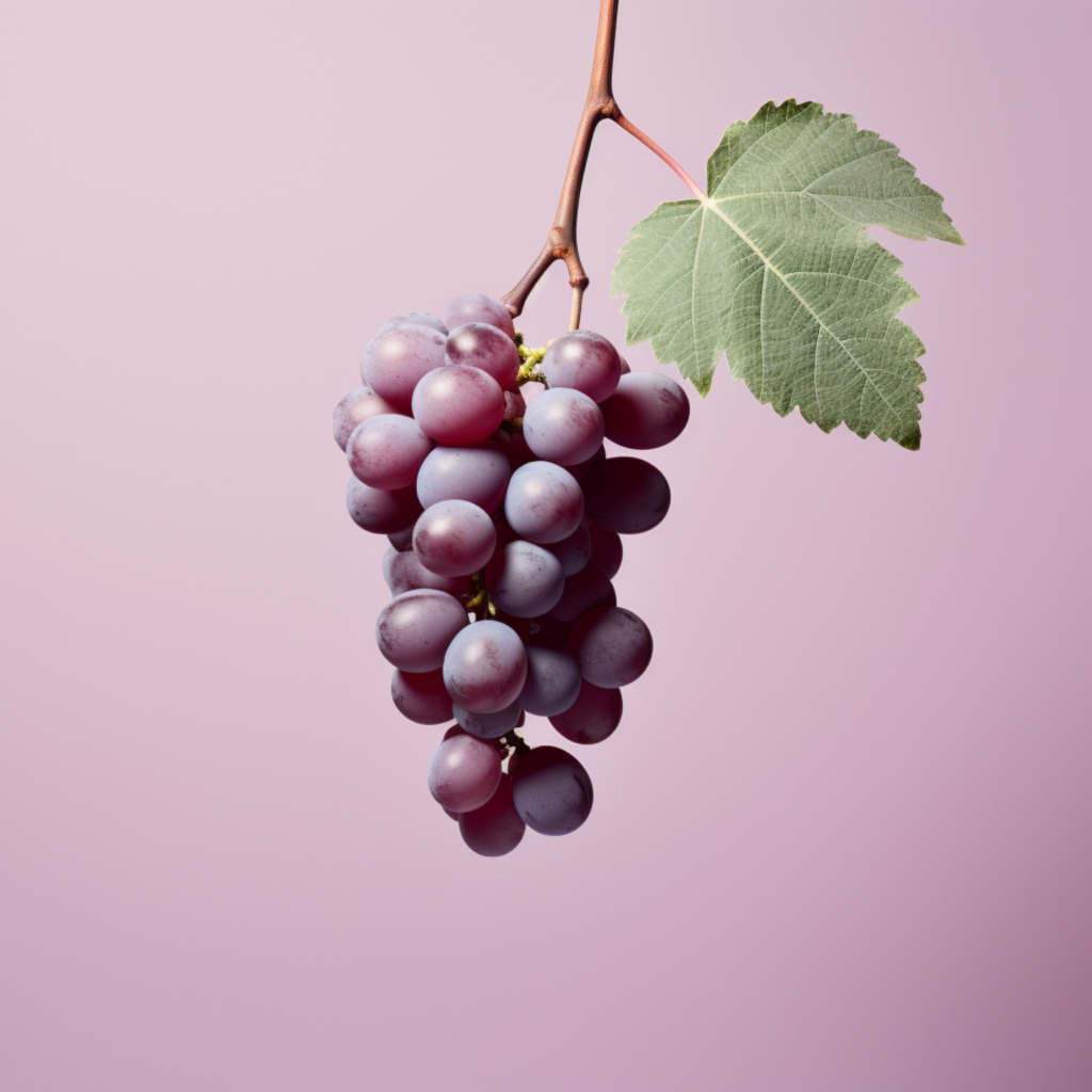 Гроздь винограда на сиреневом фоне