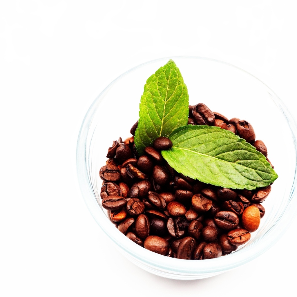 Стакан с кофейными зернами и листьями мяты