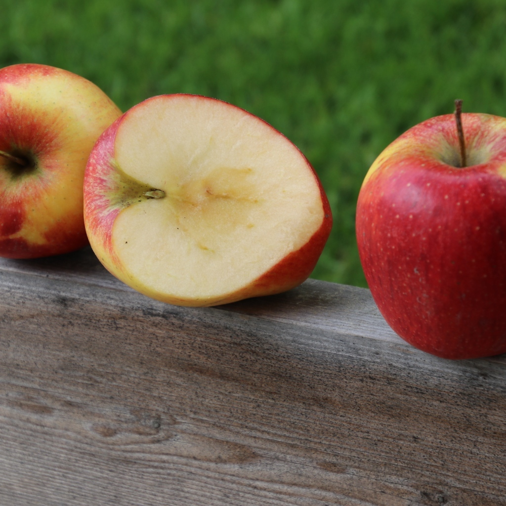 Красные яблоки лежат на деревянной доске