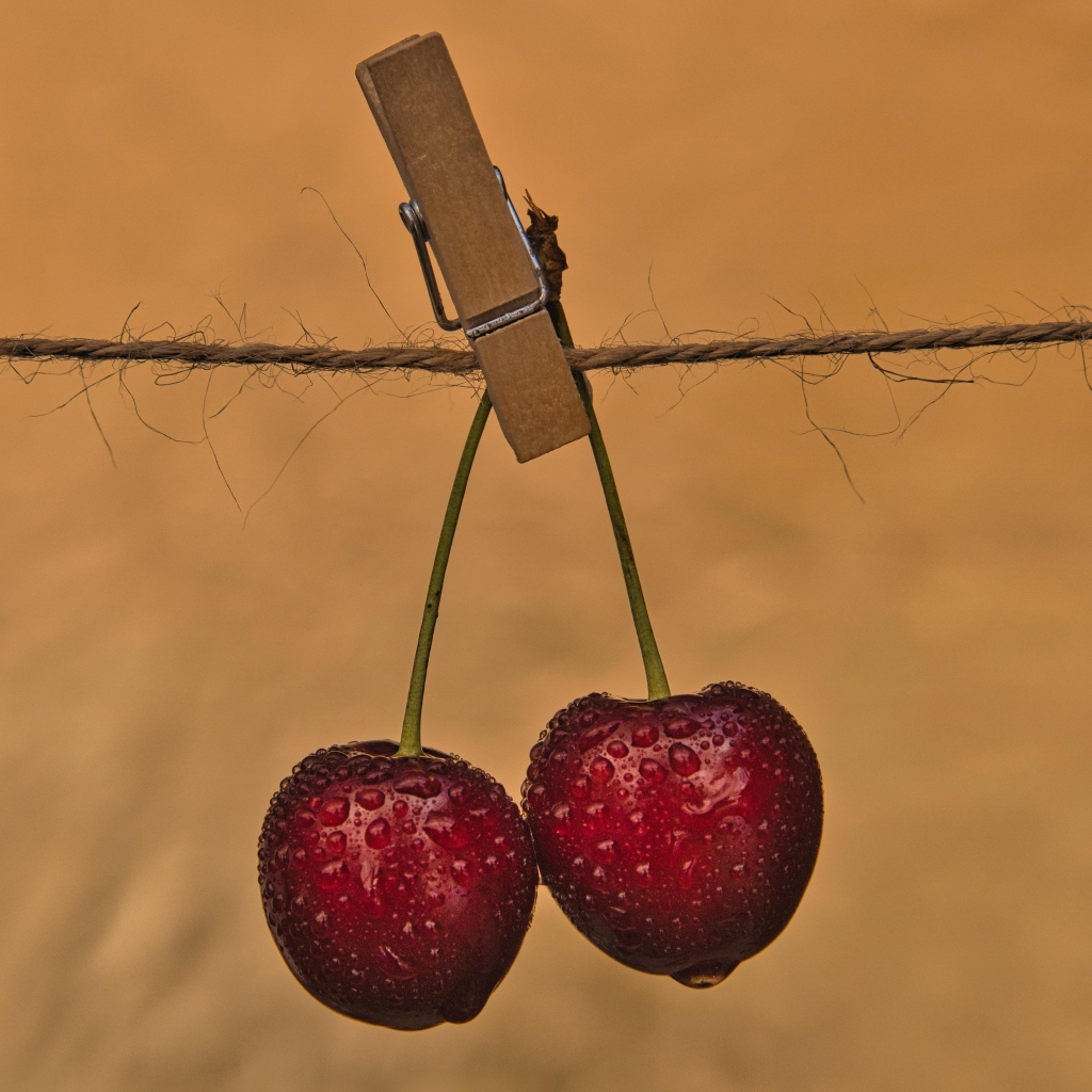 Две мокрые черешни с прищепкой на веревке