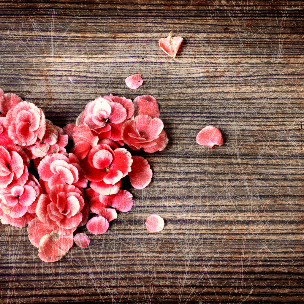 Сердце из цветов на деревянном фоне с царапинами