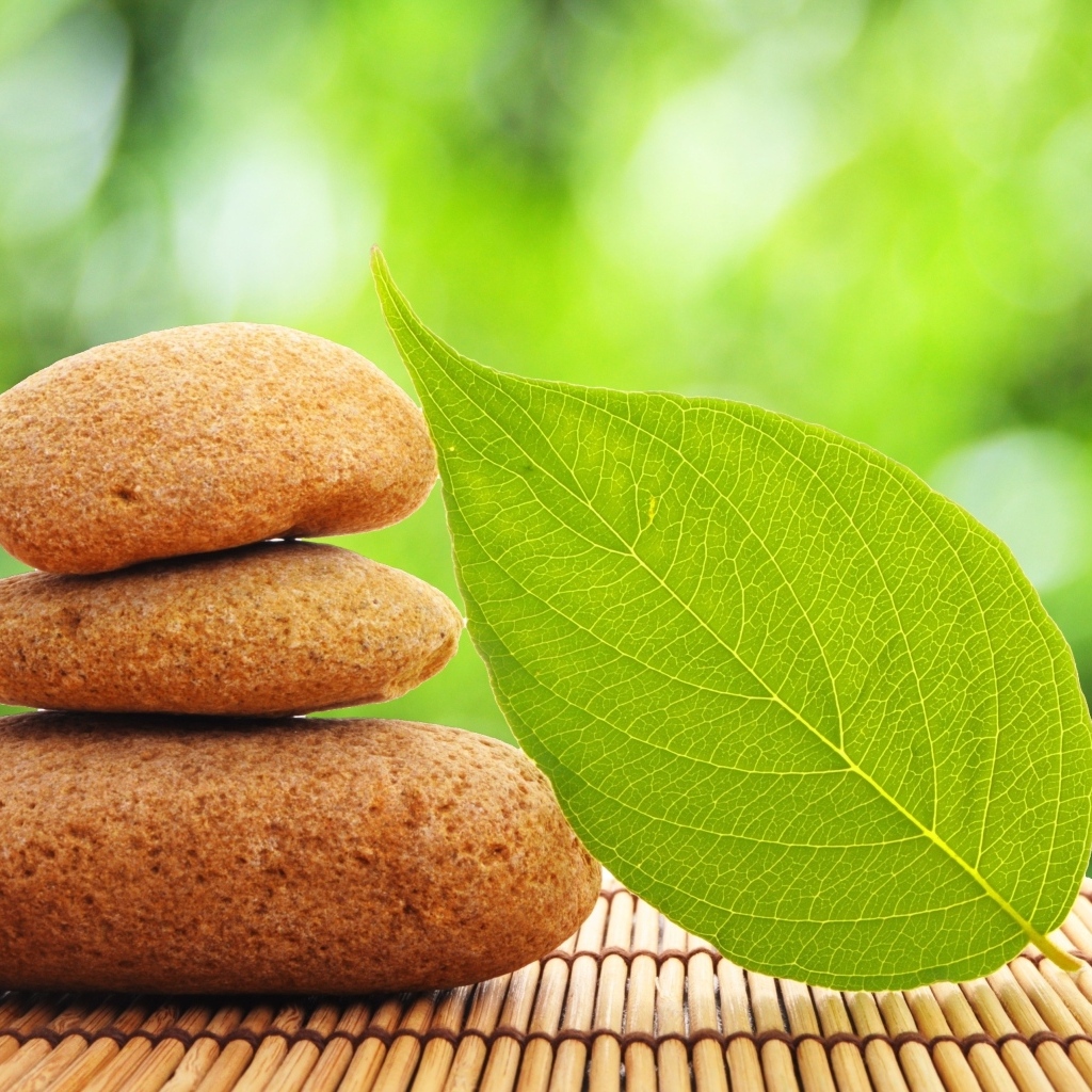 Пирамида из камней с зеленым листом 