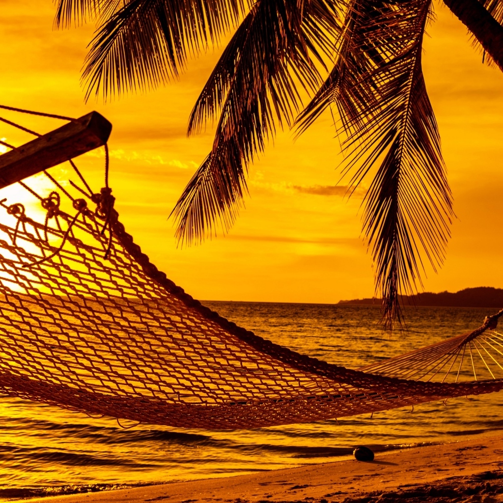 Гамак висит на пальмах на пляже на закате