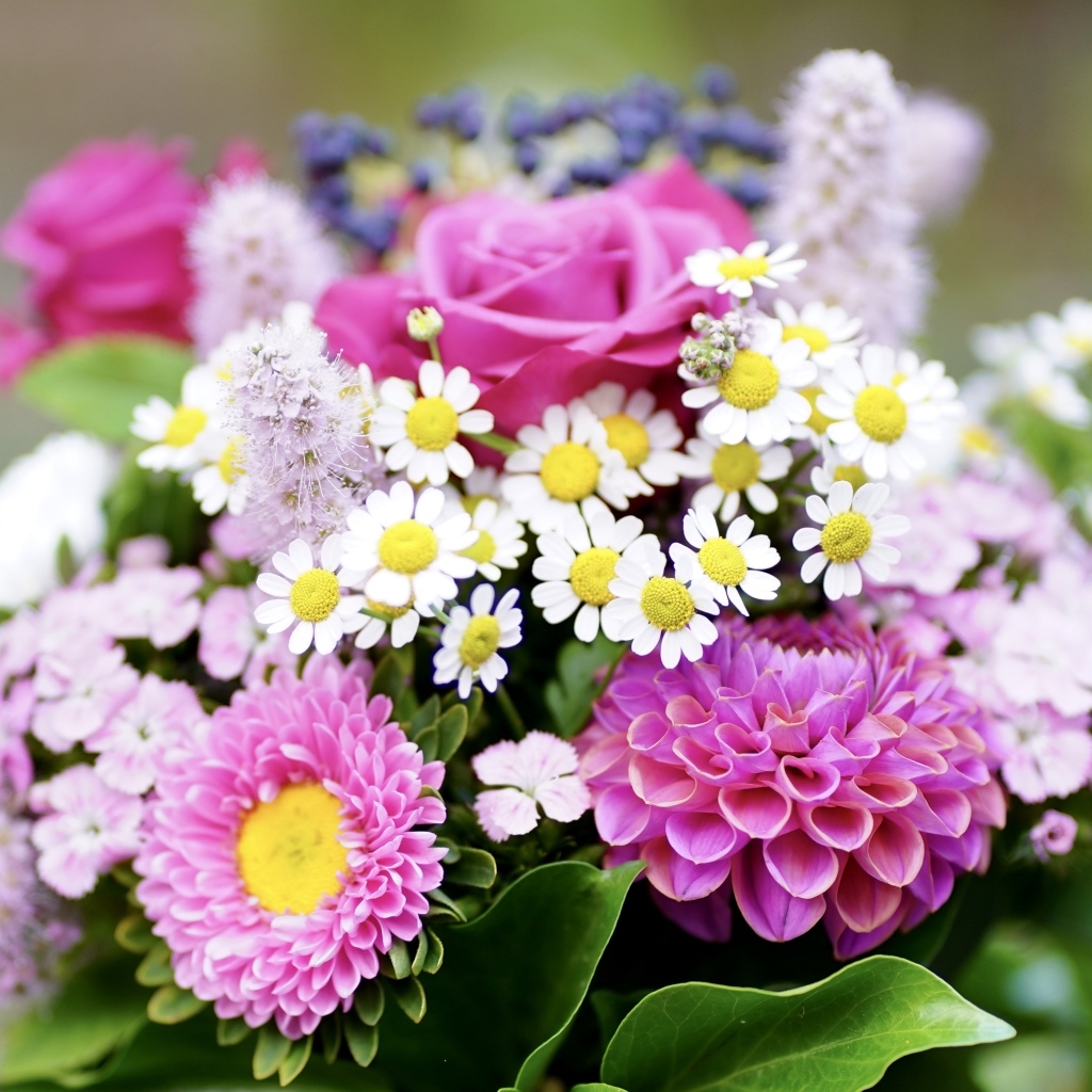 Красивый яркий букет осенних цветов