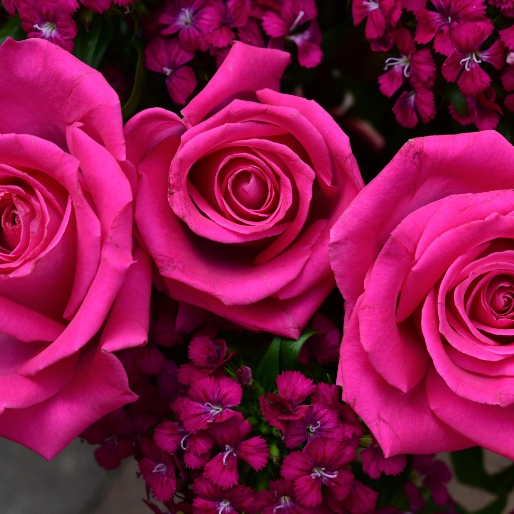 Букет розовых роз с гвоздикой