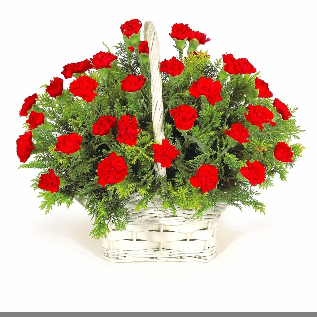 Букет красных гвоздик в корзине на белом фоне