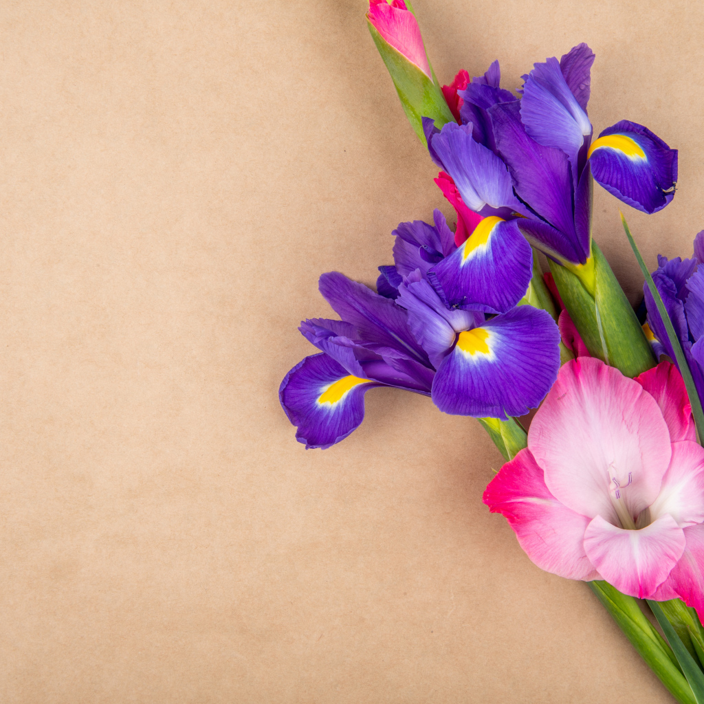 Цветы ириса с розовым гладиолусом
