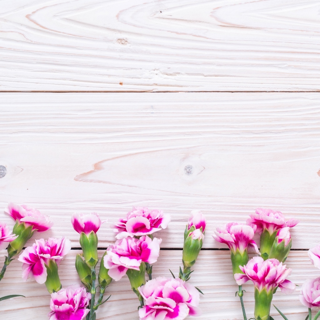 Много розовых цветов гвоздики на деревянном фоне