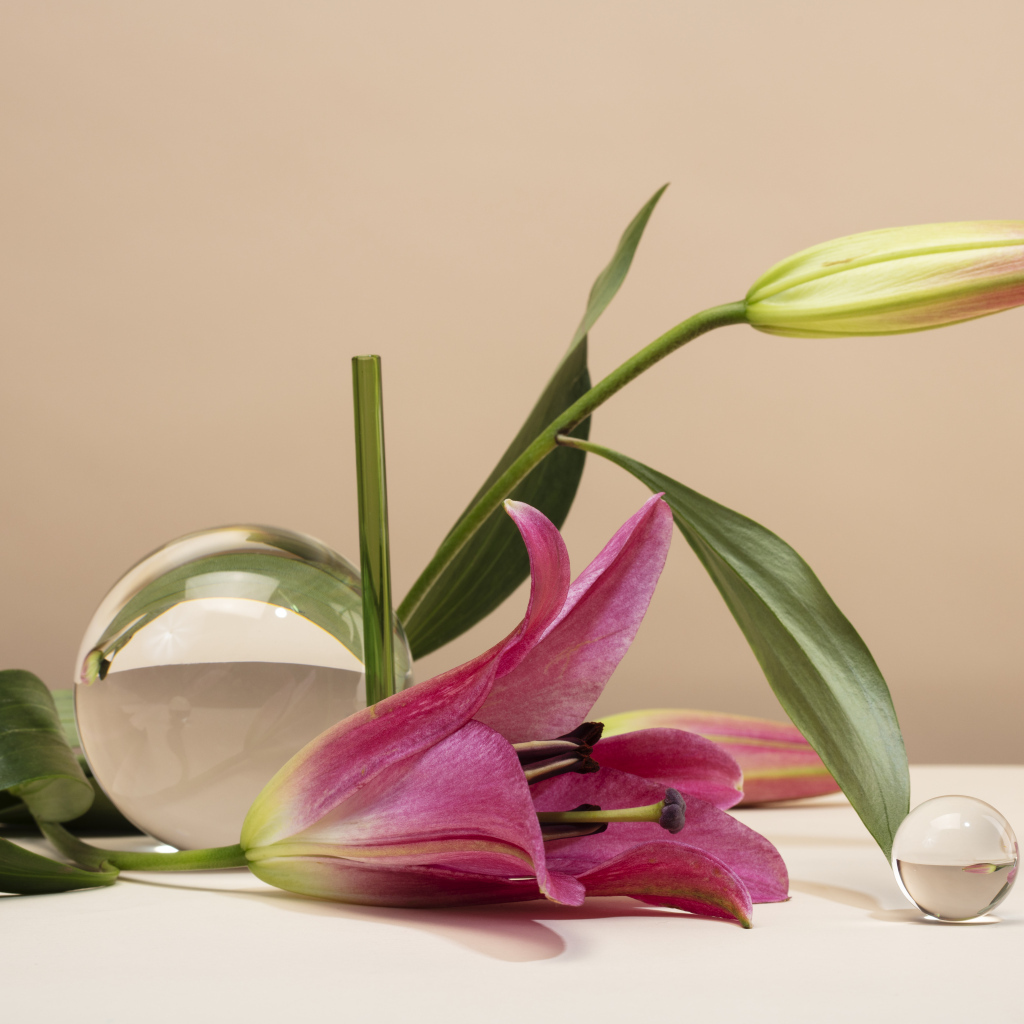 Розовая лилия со стеклянными шарами на коричневом фоне