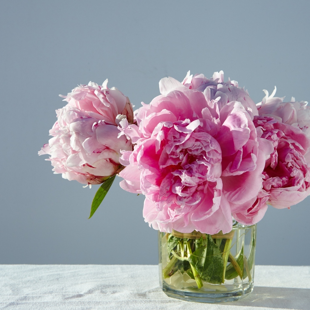Розовые пионы в стакане на столе